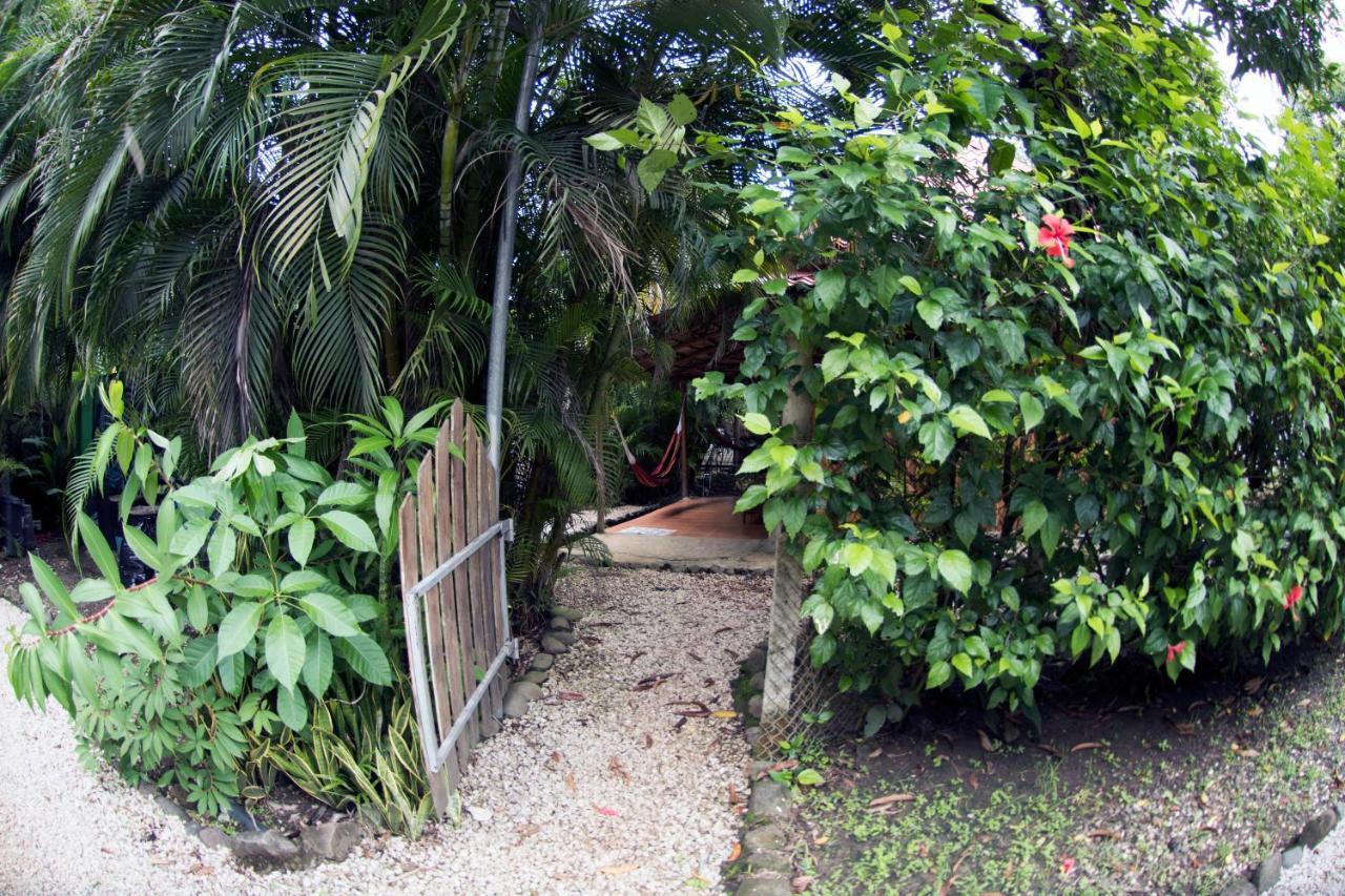 Disfrutalo Hotel Playa Santa Teresa  Exterior photo